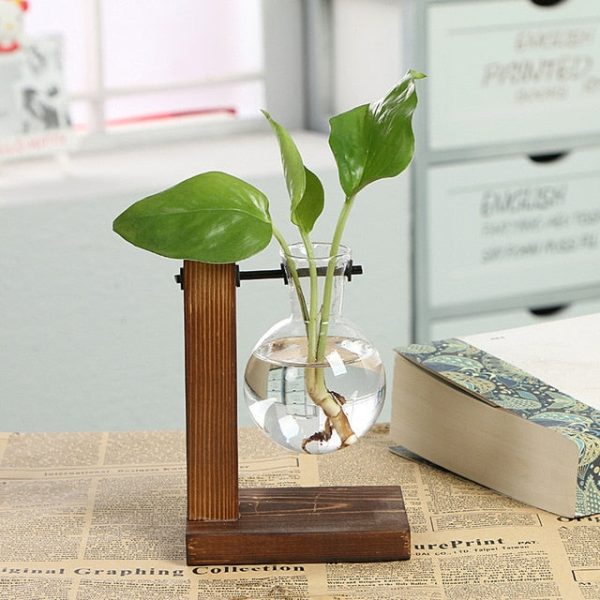 Terrarium Hydroponic Plant Vases - Image 2