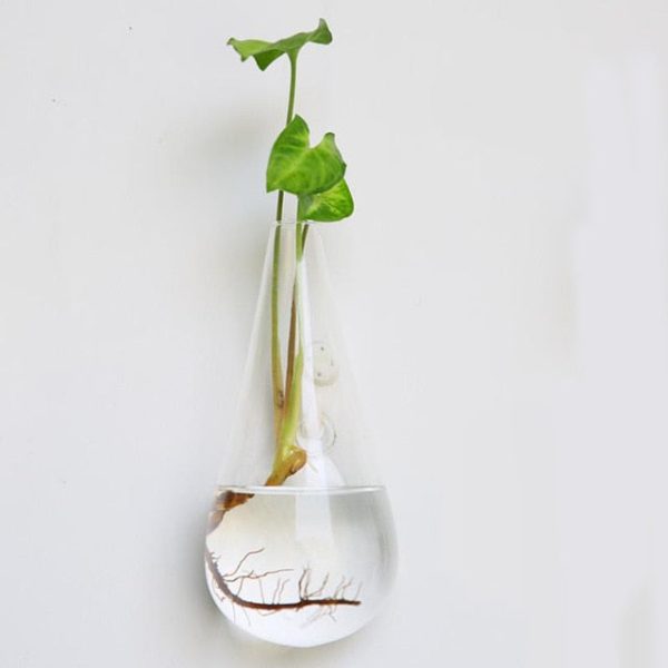 Creative Hanging Glass Wall Vase - Image 4