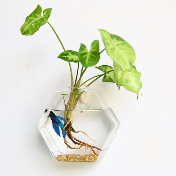 Creative Hanging Glass Wall Vase - Image 3